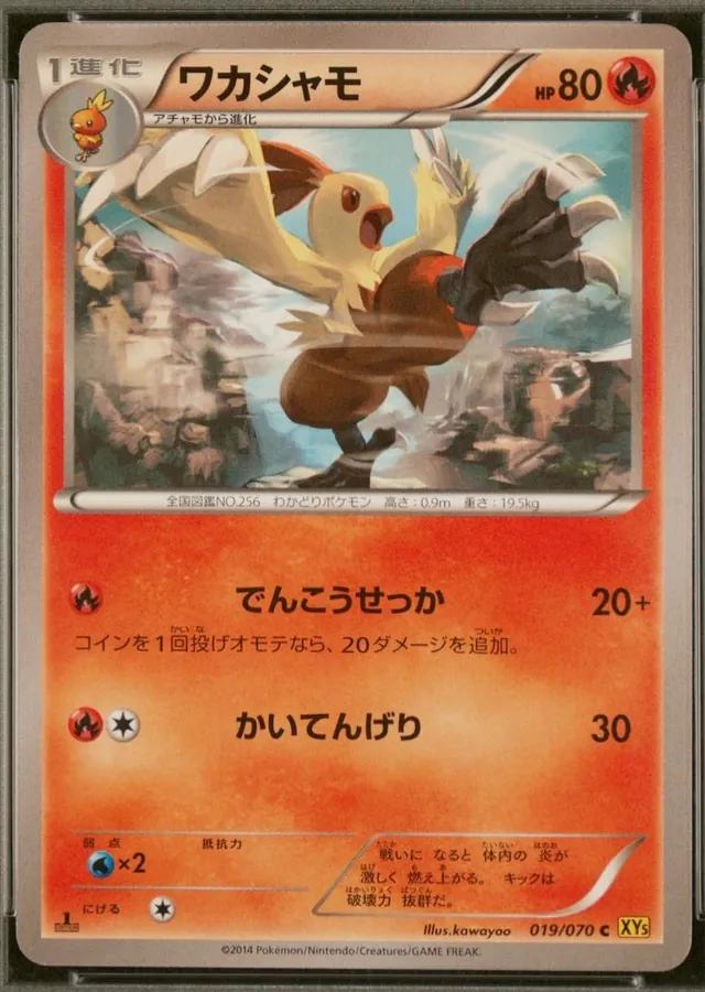Combusken [1st-Edition]